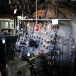 IMG_7886 (May 28, 2024)